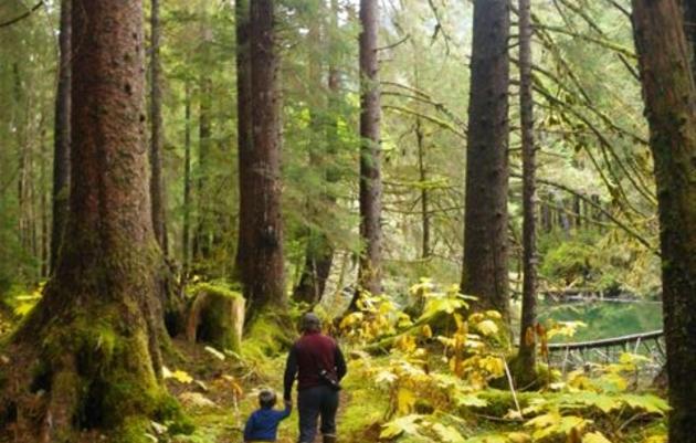 Senator Murkowski Attaches Habitat-Threatening Language to Draft Appropriations Bill