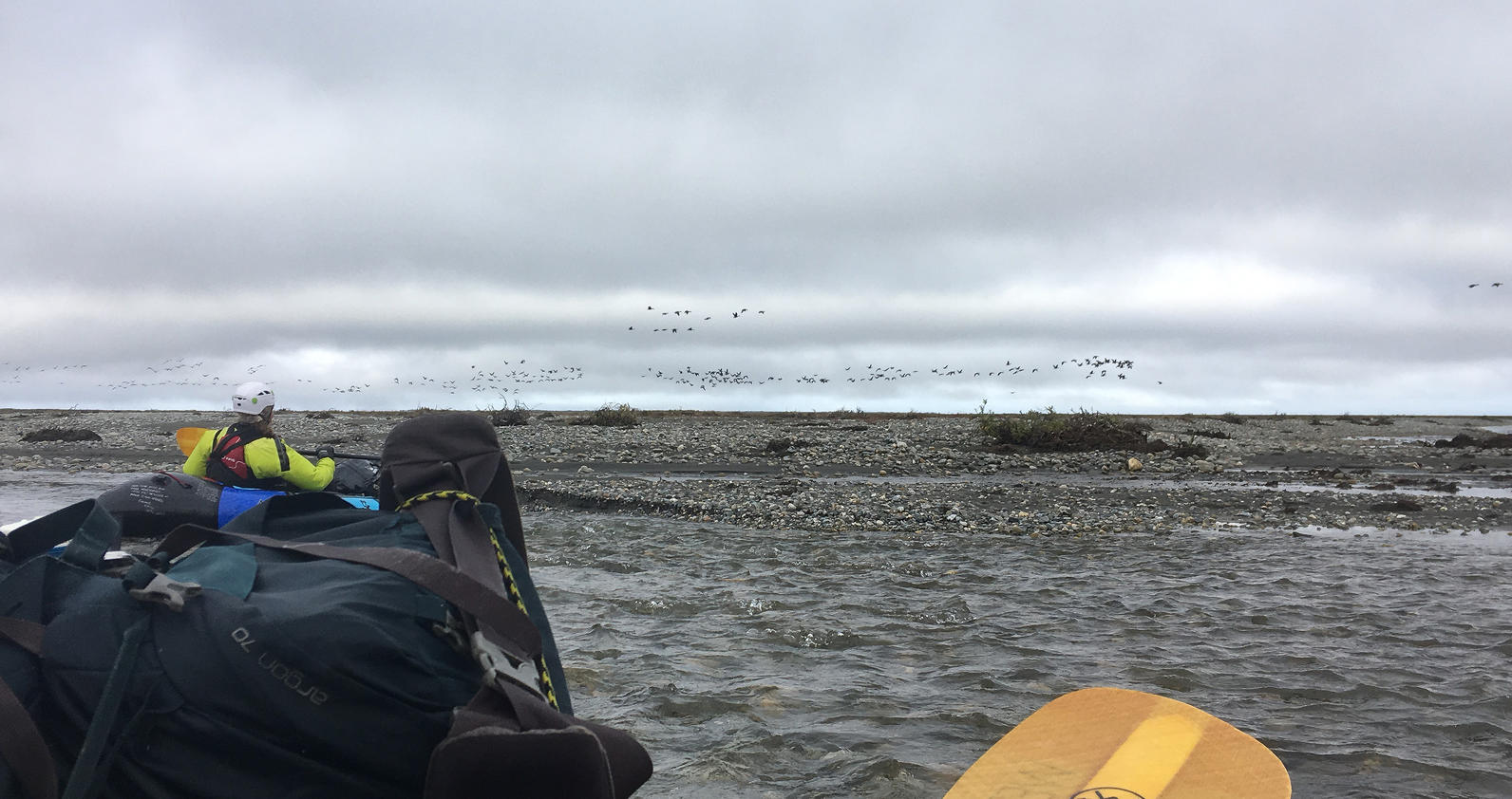 The final stretch of packrafting along the Okpilak River, before the channels became too shallow to continue. Flocks of Snow Geese dot the horizon and swoop overhead. The final stretch of packrafting along the Okpilak River, before the channels became too shallow to continue. Flocks of Snow Geese dot the horizon and swoop overhead.