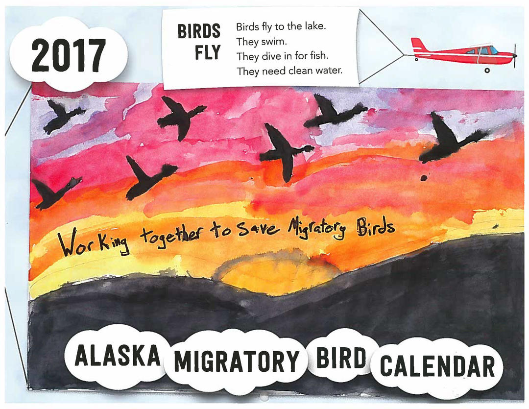 Alaska Migratory Bird Calendar Audubon Alaska