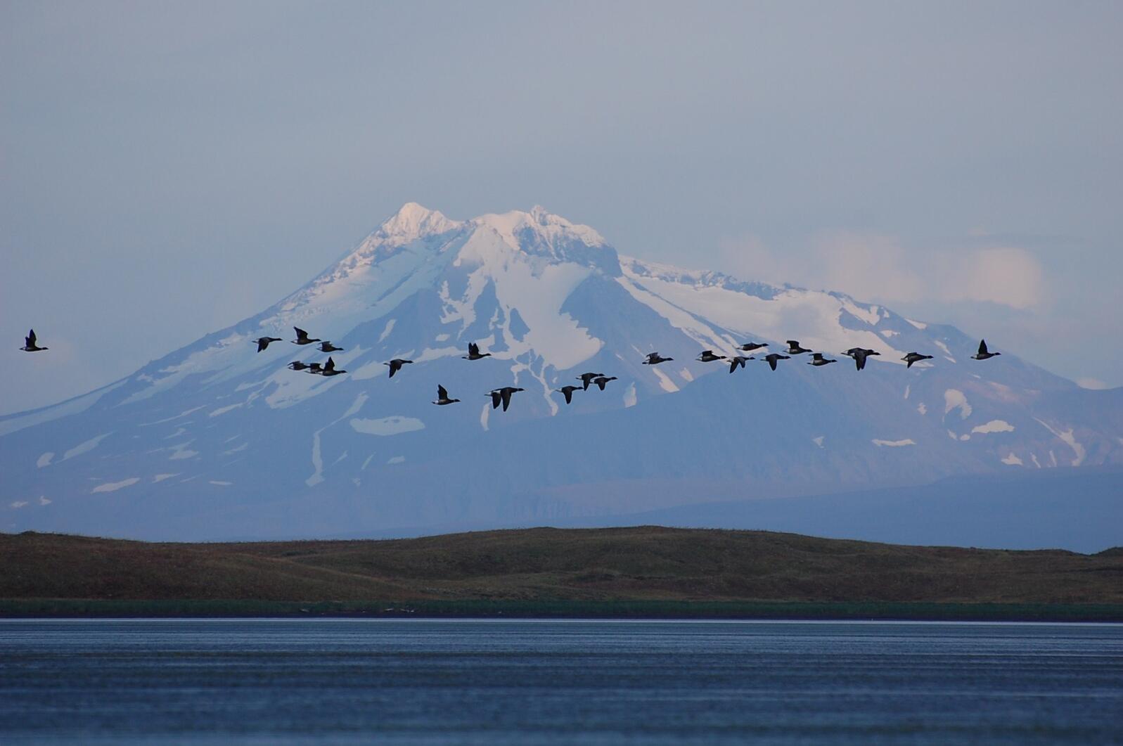 Izembek National Wildlife Refuge