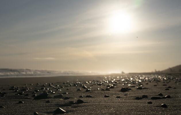 Cannon Beach