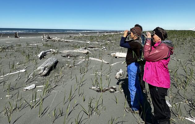 The Southeast Alaska Birding Trail App Is Here!