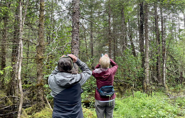 Audubon’s New Strategic Plan Is Ready to Soar in Alaska
