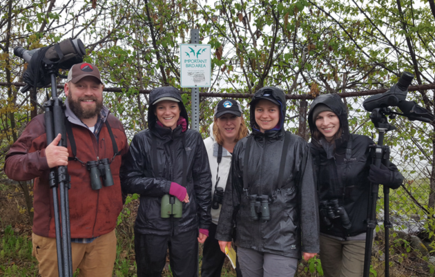 Volunteer with Audubon Alaska