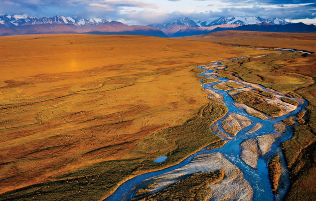 The Federal Government Plans to Unleash Industry on These Five Alaskan Bird Havens
