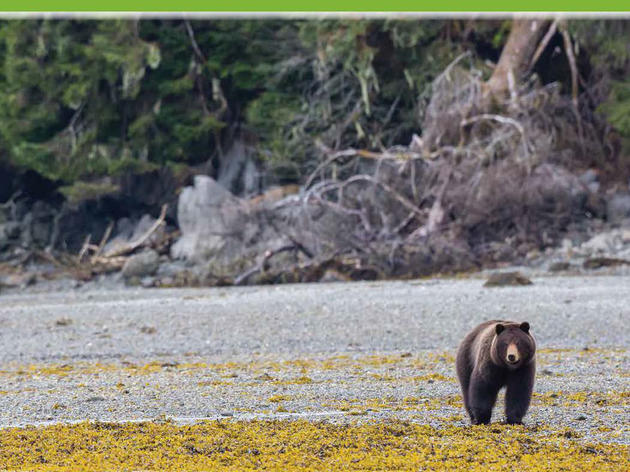 Audubon Alaska's Ecological Atlases