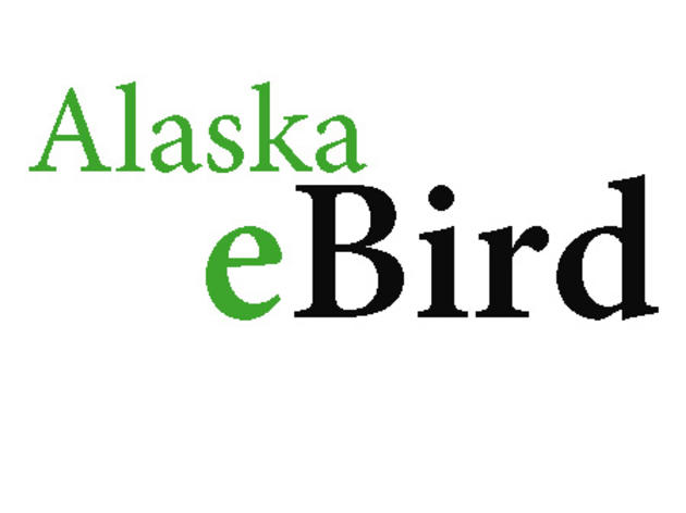 Alaska eBird
