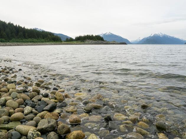Chilkat State Park - South