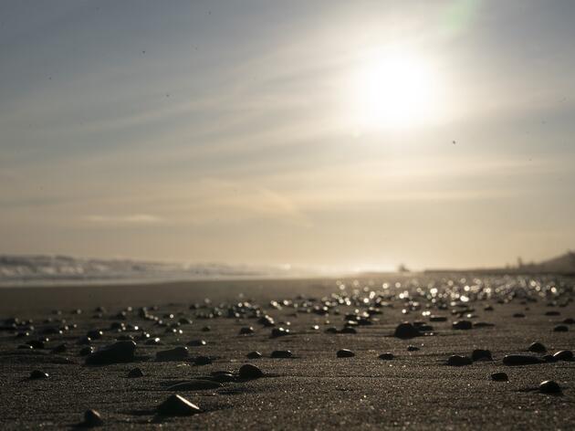Cannon Beach
