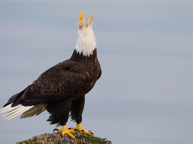 Eagle Beach State Recreation Area