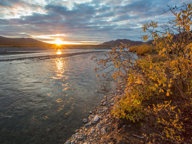 Threats to the Arctic National Wildlife Refuge are on the Political Horizon