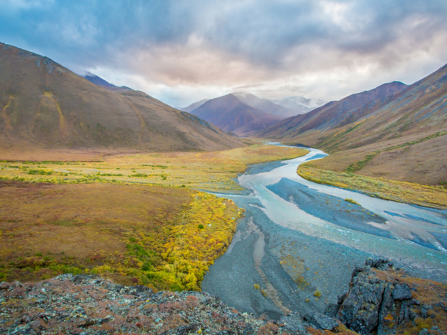 What do taxes, health care, and the Arctic Refuge all have in common?