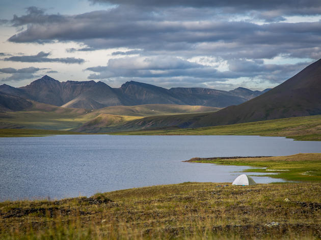 Report Series: Life in the Heart of the Arctic