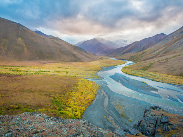 Alaska Arctic Fund