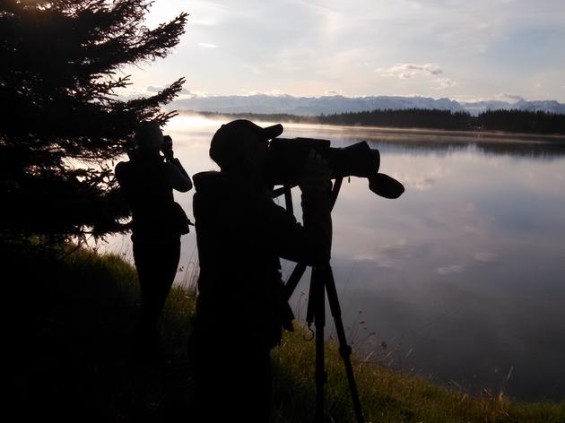Birding Is the Perfect Activity While Practicing Social Distancing