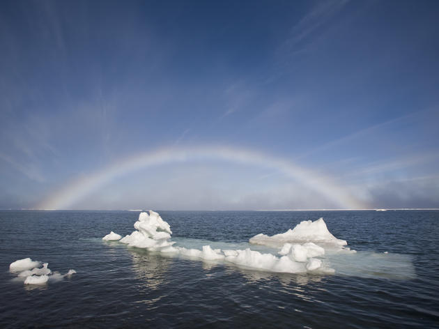 Vital Arctic Oceans Storymap