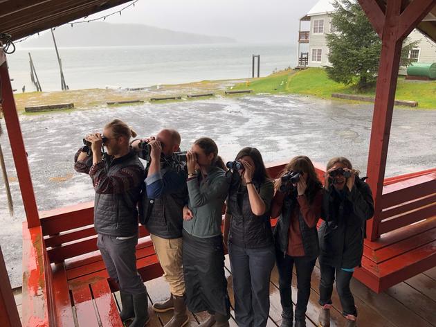 Birdathon 2019