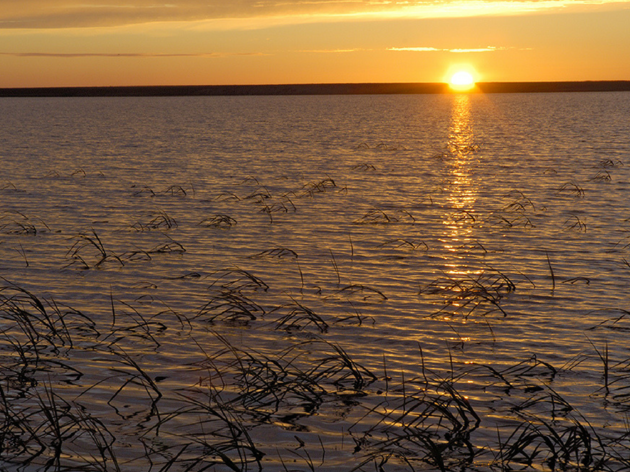 Teshekpuk Lake Wetlands