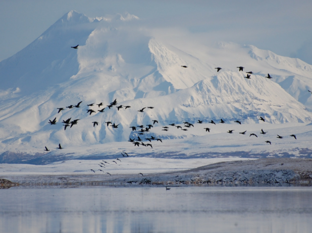Izembek National Wildlife Refuge
