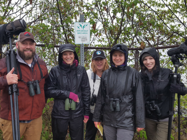 Volunteer with Audubon Alaska