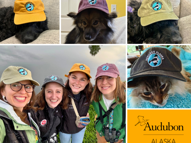 Audubon Alaska Hats!