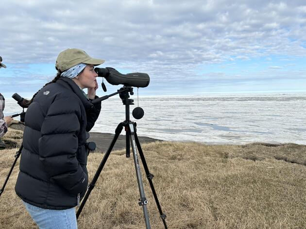 Seeing Alaska's Iconic Wildlife for the First Time