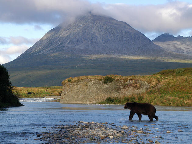 “Alaska Wildlife and Wild Lands” Recordings With Dr. John Schoen