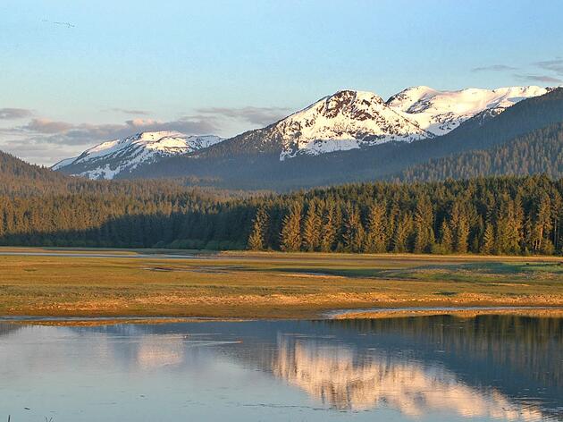 Take Action for the Mendenhall Wetlands