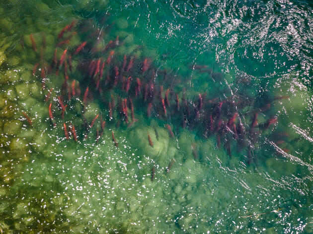 It’s Been a Busy Summer for Alaska’s Federal Lands