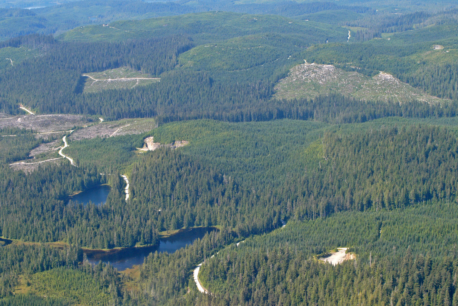 Clearcuts on Prince of Wales Island.