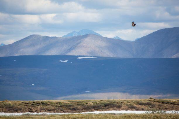The Arctic National Wildlife Refuge.