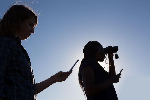 Birders