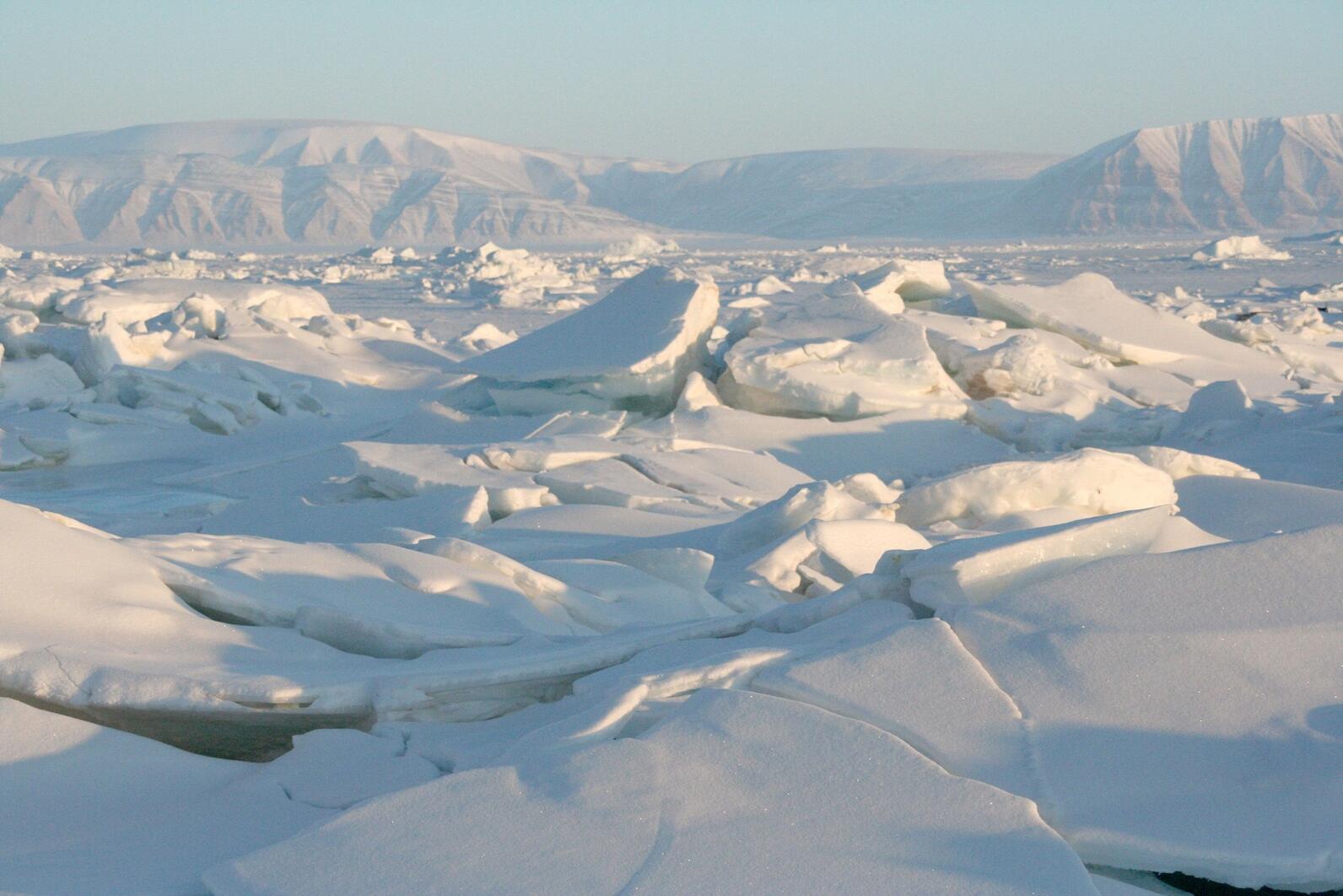 Landscape of sea ice Landscape of sea ice