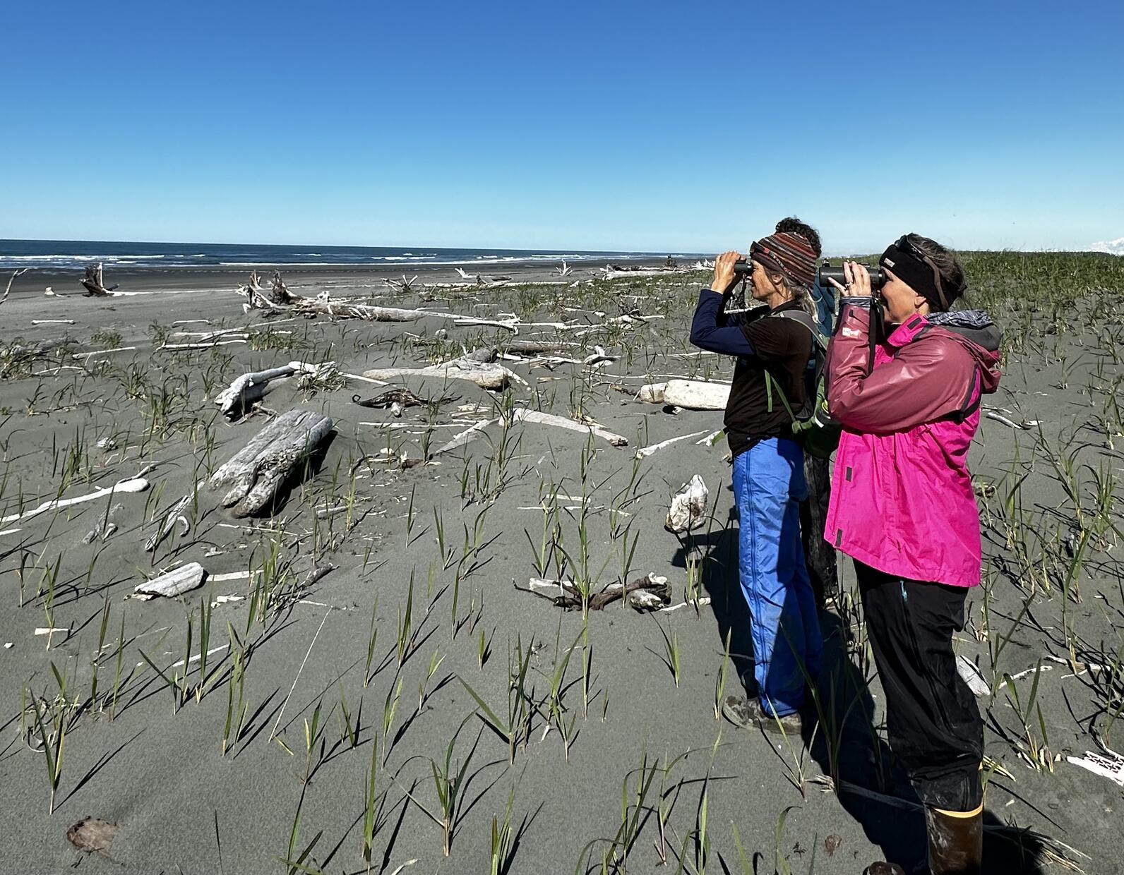 Birding in Southeast Alaska.