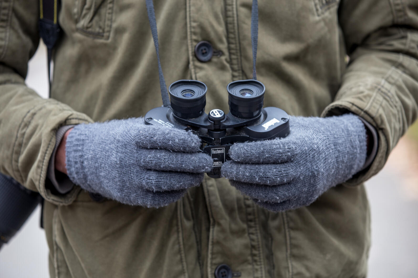 Person holding binoculars Person holding binoculars