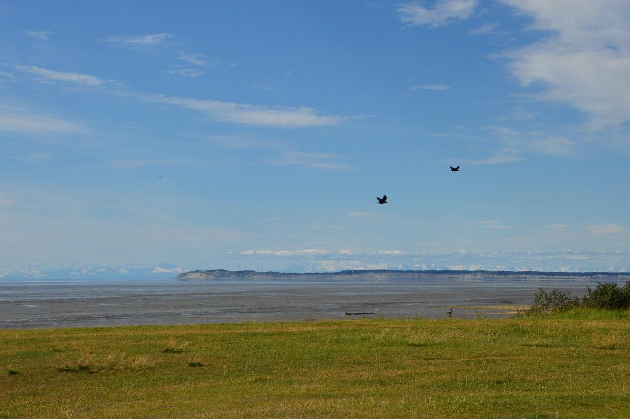 Birds flying by scenic overlook Birds flying by scenic overlook