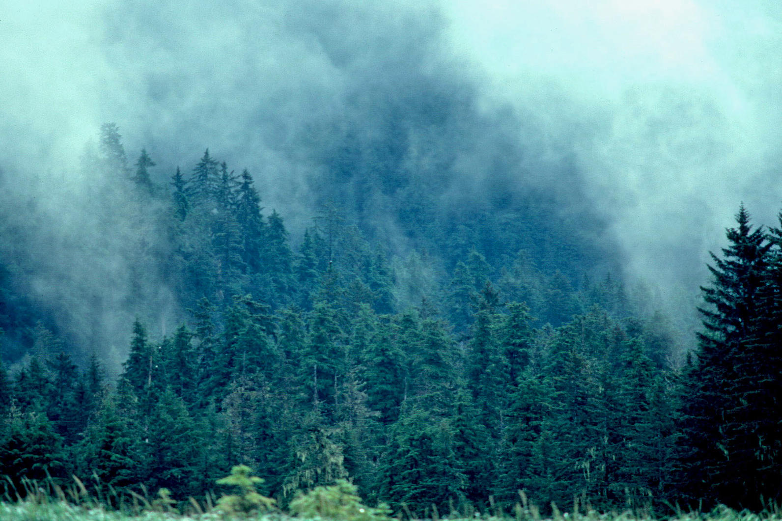 Tongass National Forest Tongass National Forest