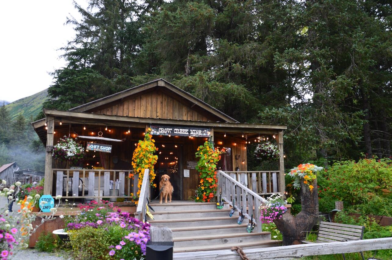 Dog on log cabin porch with flowers Dog on log cabin porch with flowers
