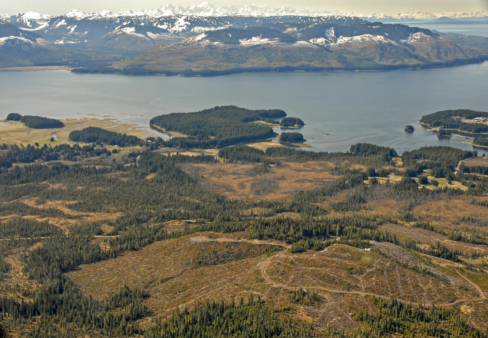 Aerial view of clearcut land