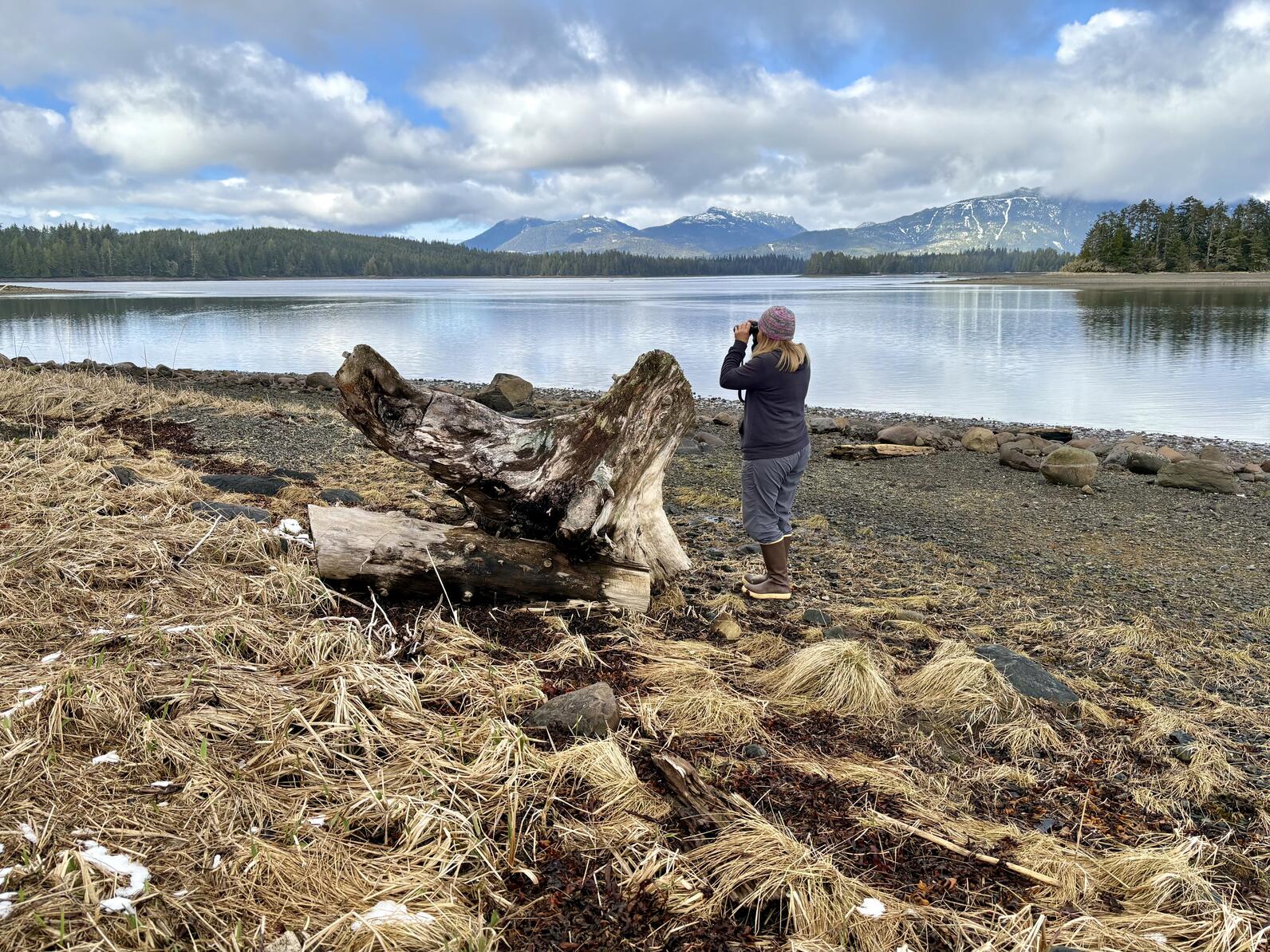 Woman bird watching on rocky beach