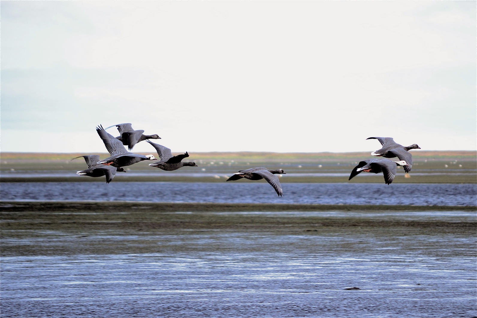 Izembek National Wildlife Refuge