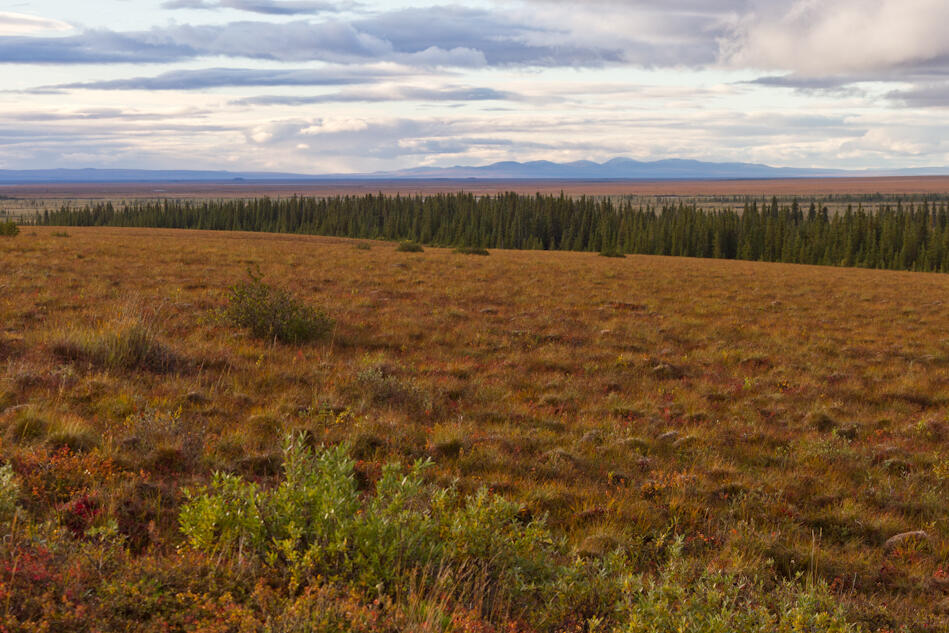 Western Alaska.