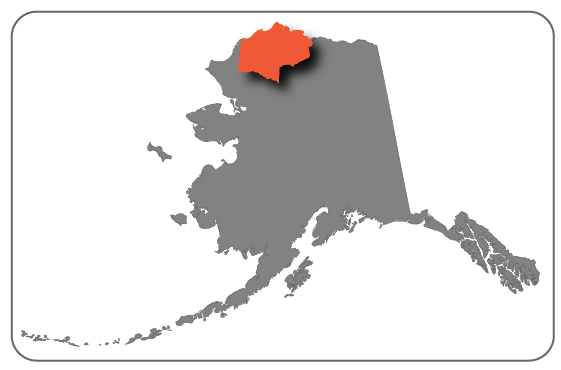 National Petroleum Reserve-Alaska