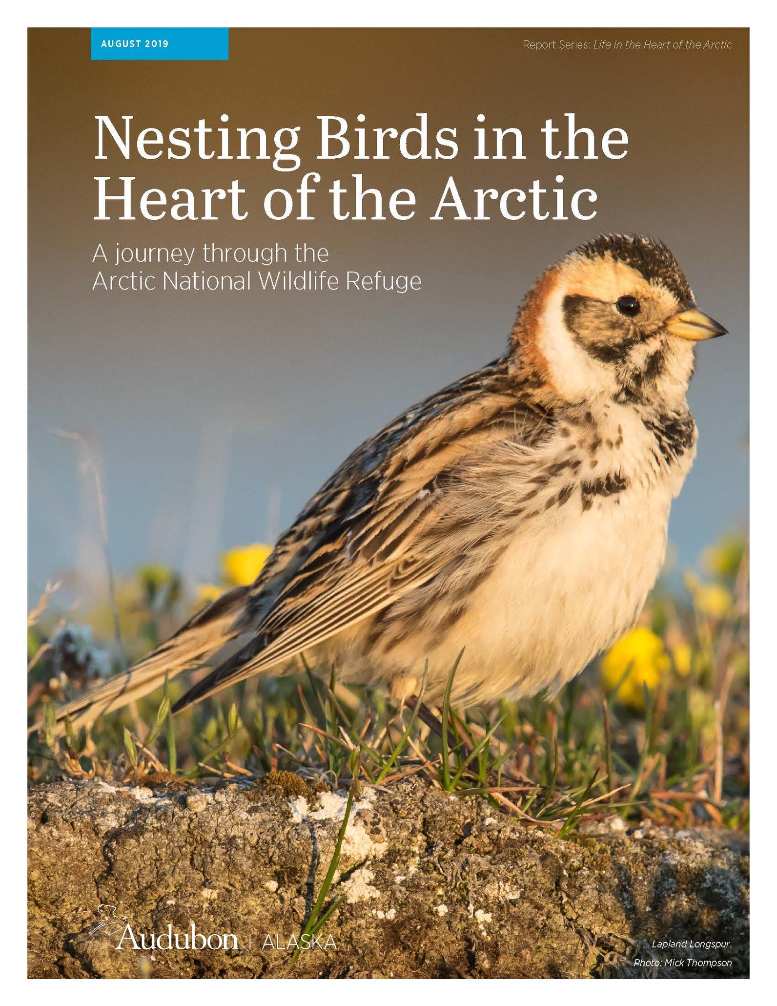 Nesting Birds in the Heart of the Arctic Nesting Birds in the Heart of the Arctic