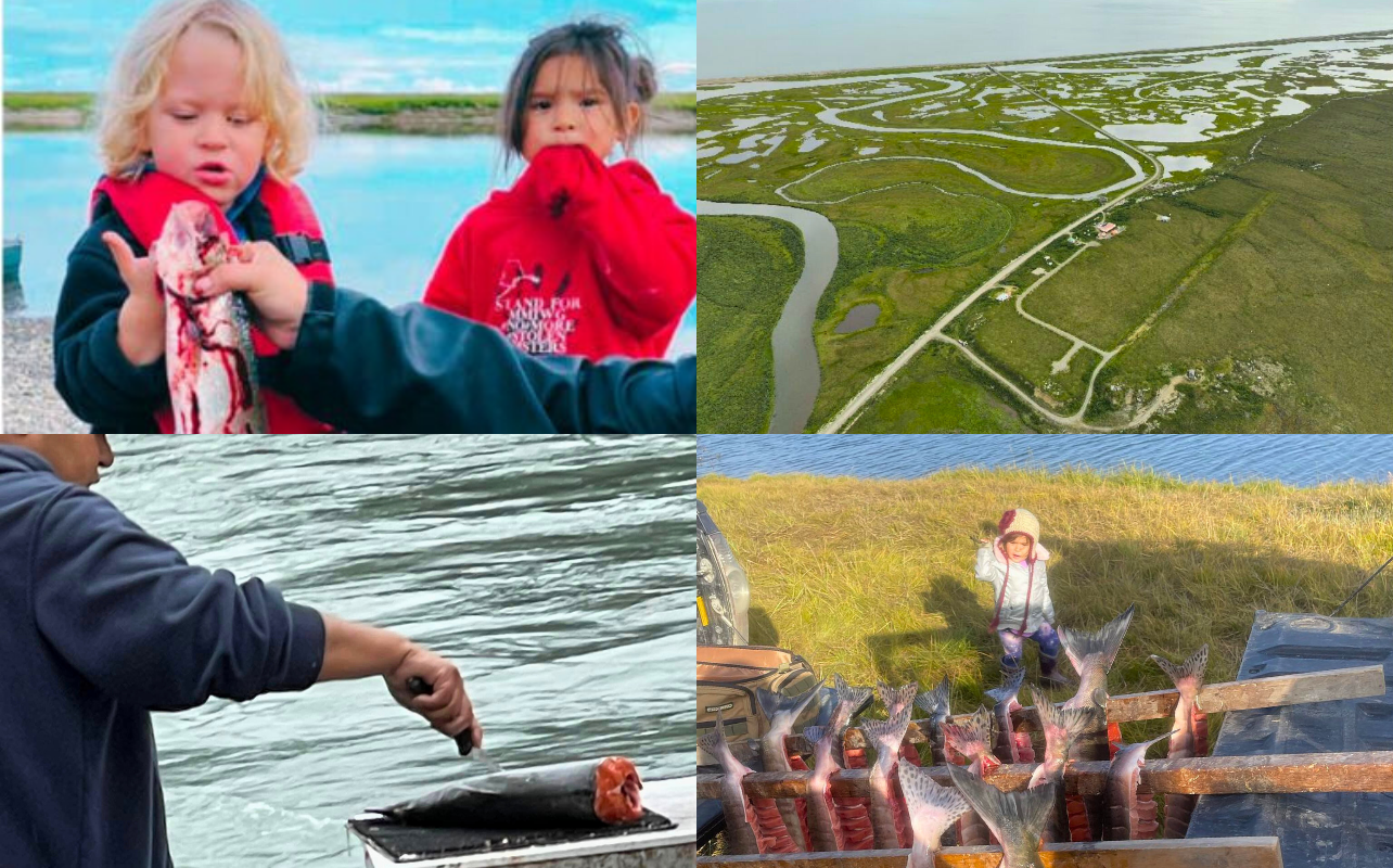 Four images of harvesting and fishing