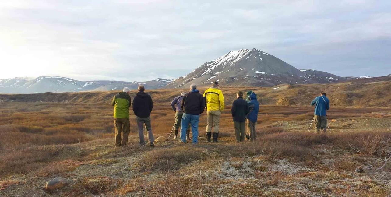 People birding in mountainous landscape