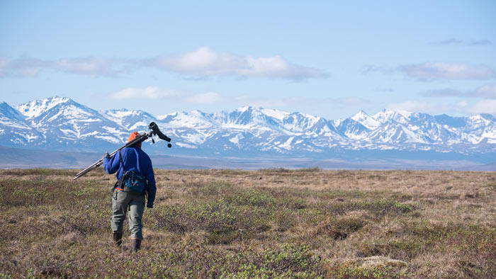 Man with birding scope Man with birding scope