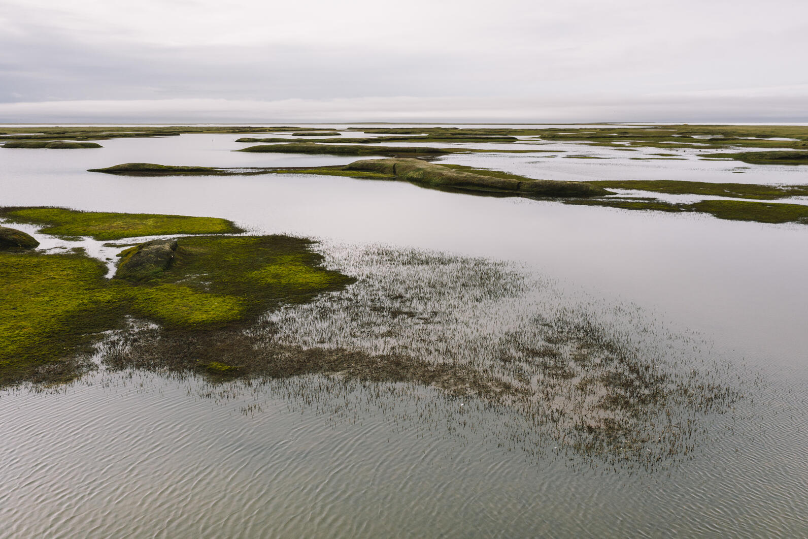 Teshekpuk Lake Wetlands in Alaska's Western Arctic. Teshekpuk Lake Wetlands in Alaska's Western Arctic.