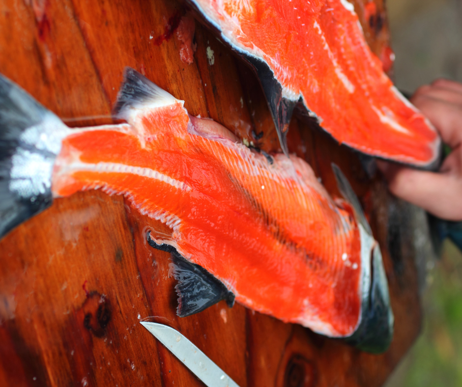 A salmon being filleted