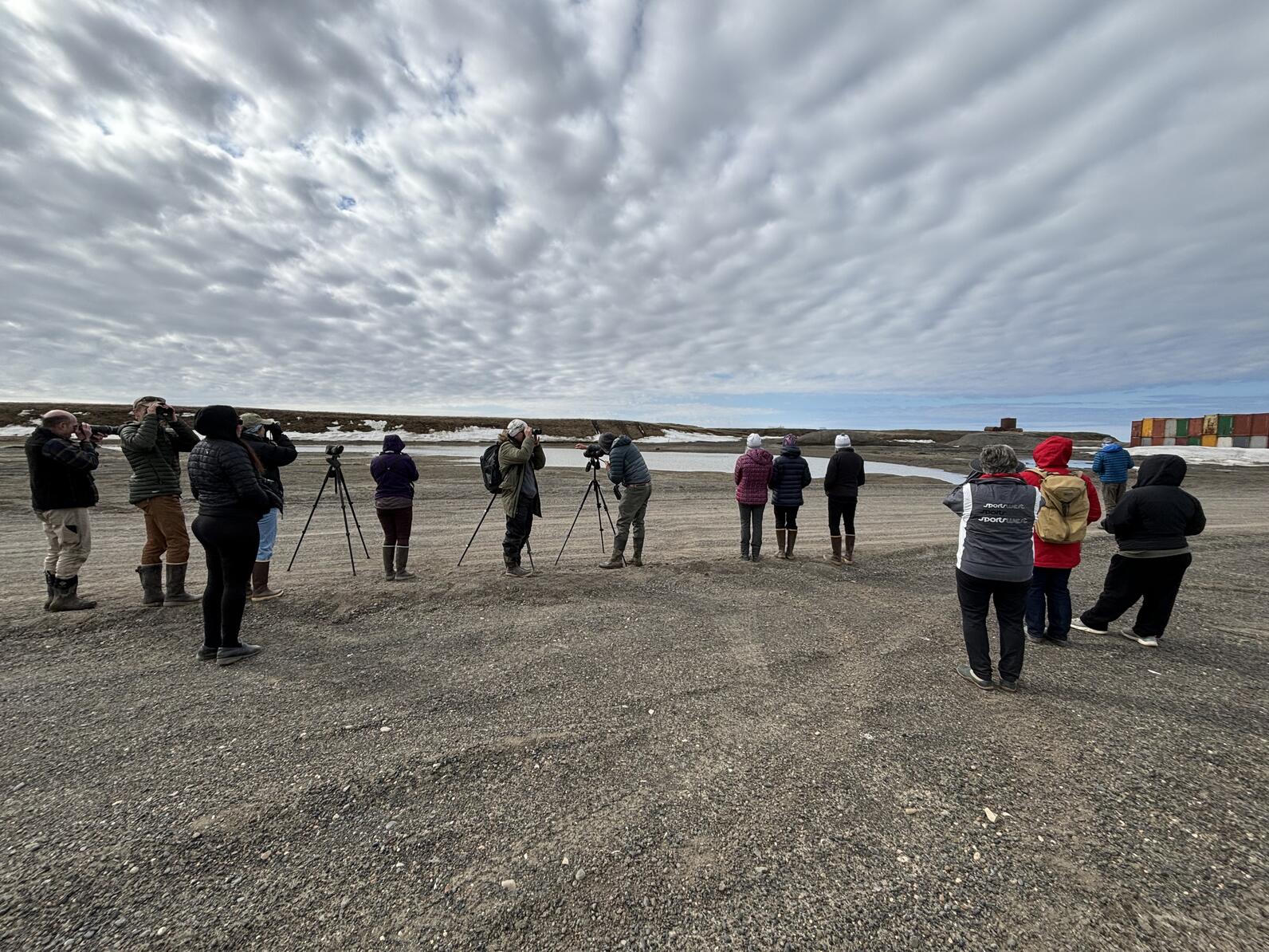 People birding in gravel area People birding in gravel area